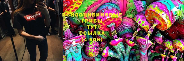 прущие крисы Алзамай