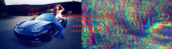 прущие крисы Алзамай