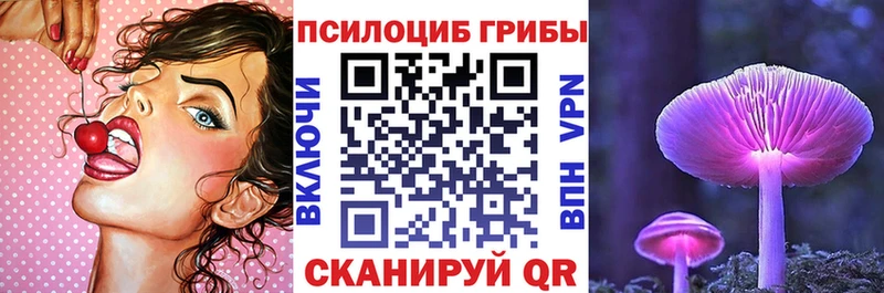 Галлюциногенные грибы мицелий  где купить наркотик  Дегтярск 