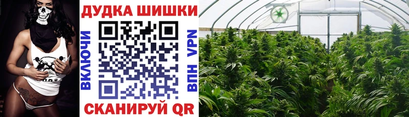 Бошки Шишки White Widow  Дегтярск 